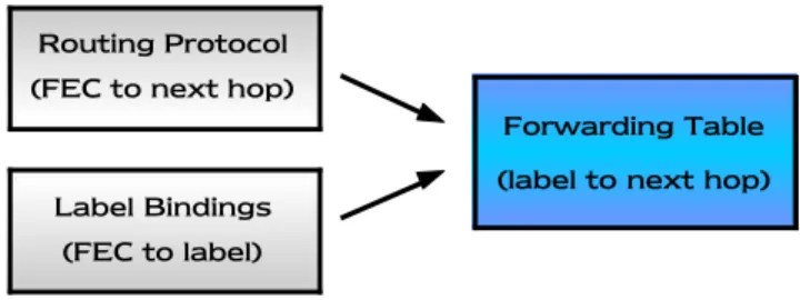 Figura 1.3 – Componente di controllo dell’architettura MPLS