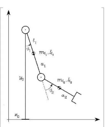 Figura 1.4: Modello di un manipolatore planare con due giunti rotoidali soggetto alla forza peso.