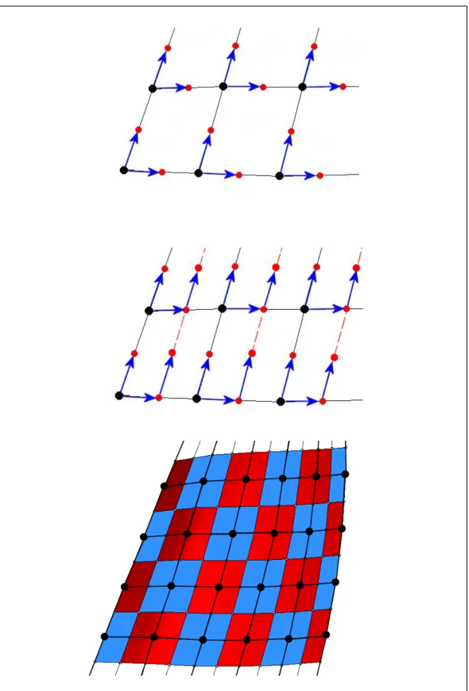 Figura -4.5 Generazione delle aree di influenza dei singoli nodi della griglia strutturale (tratte da [3]) 