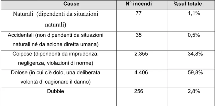 Tabella 1.3. Fonte: Indagine conoscitiva incendi boschivi del Ministero delle politiche  agricole e forestali – Corpo Forestale dello Stato – servizio antincendio boschivo           Dicembre 2001