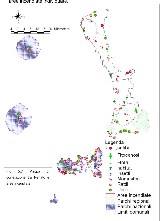 Fig 5.7 Mappa di  correlazione tra Renato e  aree incendiate 