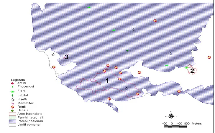 Figura 5.8 Mappa degli incendi sovrapposta alle emergenze naturalistiche della parte sud- sud-occidentale dell’isola d’Elba