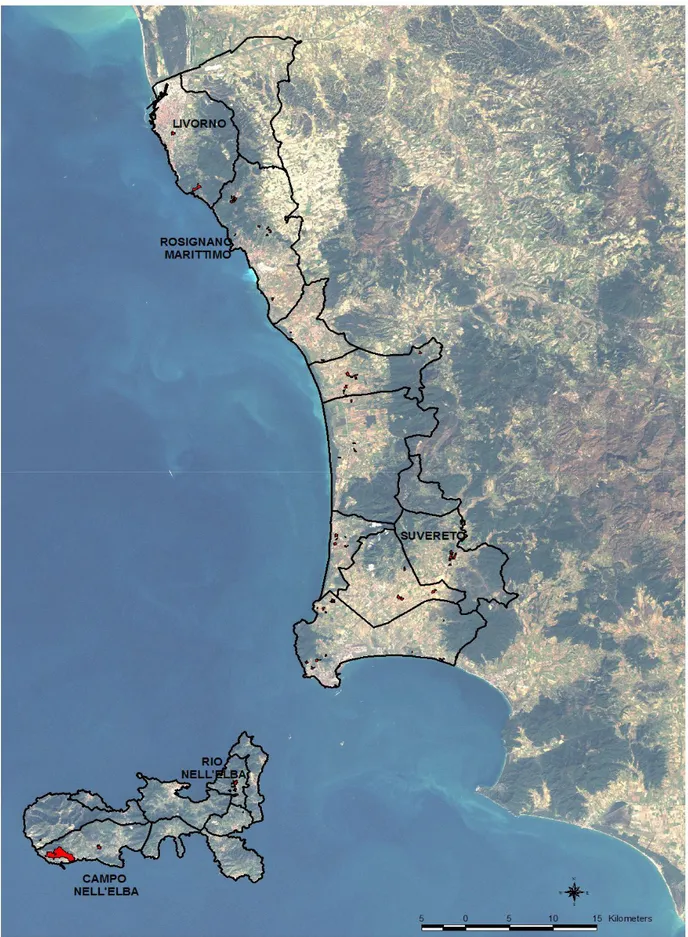 Figura 5.1 Mappa delle aree incendiate della provincia di Livorno 