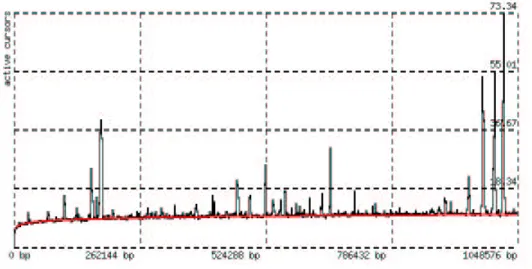 Figura 25: numero di cursori durante la generazione di un BpGraph, utilizzando spezzoni del primo cromosoma umano.