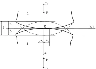Figura 4.1 – Contatto hertziano tra due solidi elastici non conformi.