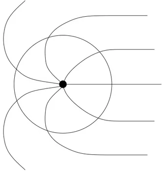 Figura 2.2: Flusso del campo attraverso una sfera S 2 attorno al monopolo.