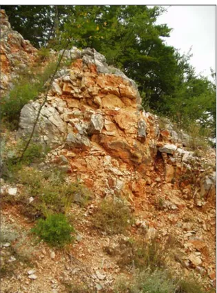 Fig. 18 - Particolare di un affioramento di calcari appartenenti al  Membro Stromatolitico, interessati da alterazione di tipo  bauxitico