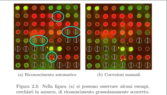 Figura 2.3: Nella figura (a) si possono osservare alcuni esempi, cerchiati in azzurro, di riconoscimento grossolanamente scorretto