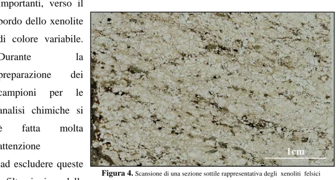 Figura 4. Scansione di una sezione sottile rappresentativa degli  xenoliti  felsici 