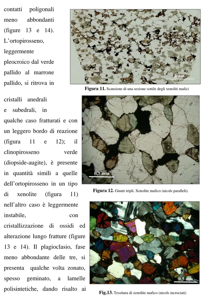 Figura 11 .  Scansione di una sezione sottile degli xenoliti mafici