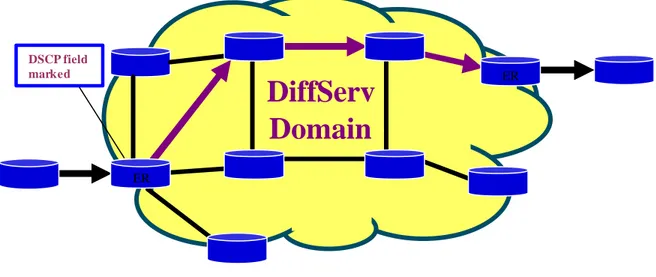 Figure 2.4 – DiffServ domain 