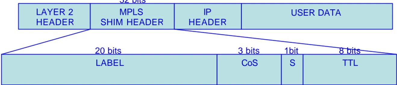Figure 3.2 – Shim header over IP 