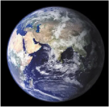 figura  5.3.8 Immagine della Terra inviata dal Meris 