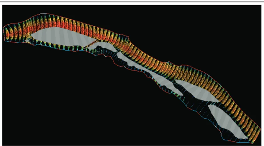 Figura 4.6: Esempio di applicazione geofluidodinamica. Visualizzazione dei flussi degli inquinanti in un fiume
