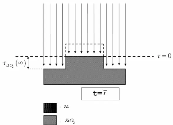 Fig. 1: Illustrazione delle  (III.1)  e  (III.2)  a vari istanti di tempo. 