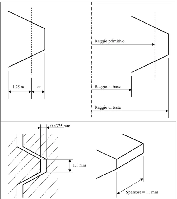 Figura 6.12. Schema del dente 