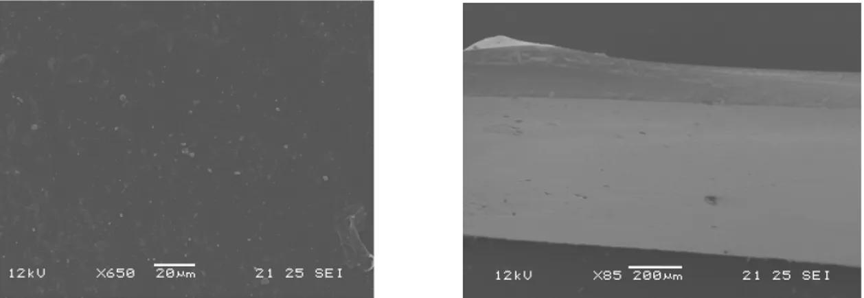 Figura 5.1.1.1: Micrografia del film PVA-PVAC-AI nr : superficie (sinistra), sezione (destra)