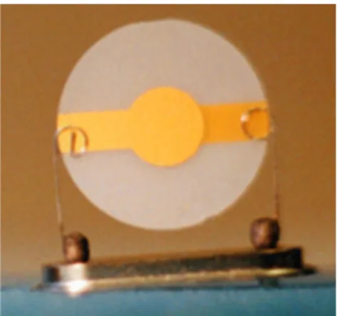Figura 2.3  Risuonatore al quarzo discoidale con elettrodi d’oro e contatti metallici 