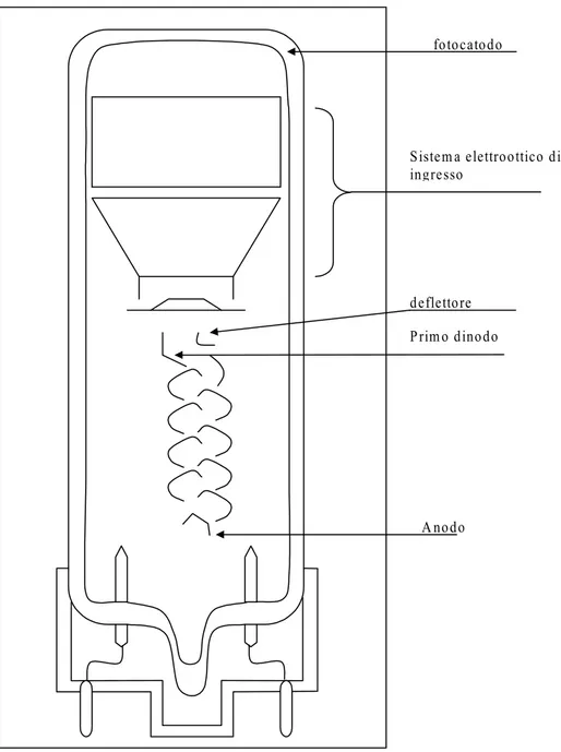 Fig. 2.1 – Struttura di un tubo fotomoltiplicatore 