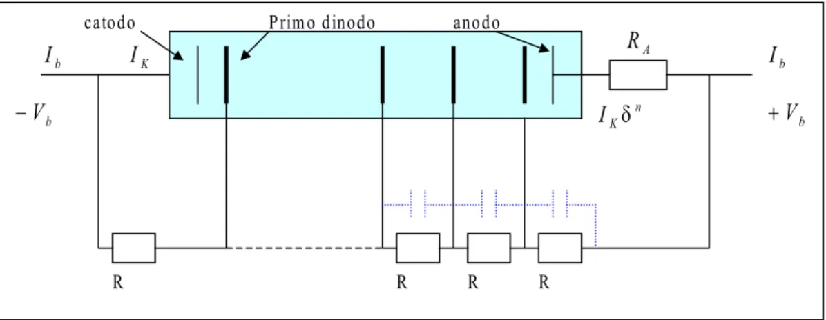 Fig. 2.16 – schema di alimentazione di un fotomoltiplicatore 