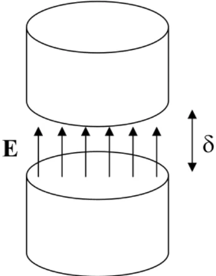 Fig. 1.5: Mesh intorno alla giunzione