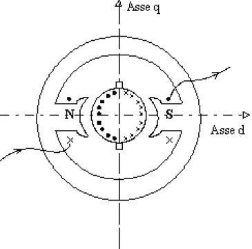 Figura 2.2: Sezione schematica del motore DC