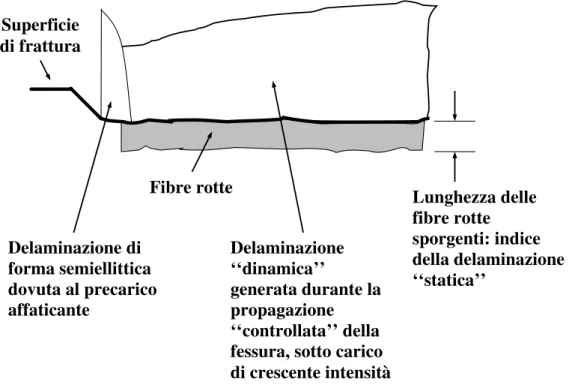 Figura 3.4: Diverse forme di delaminazione per il Glare