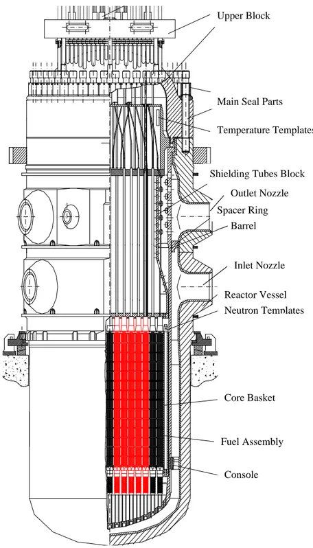 Fig. 3.1.2.1 – Reactor vessel and internals 