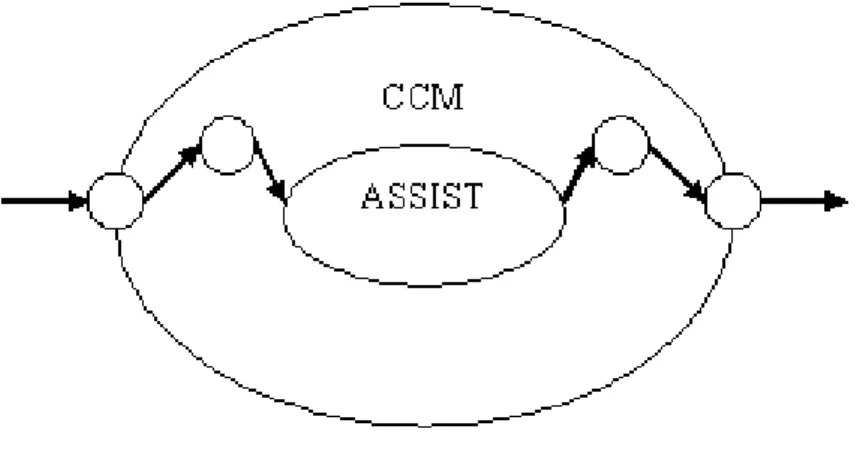 Figura 4.5: Rappresentazione di un modulo ASSIST incapsulato in un componente CCM.