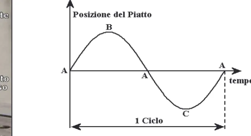 Figura 4-5: andamento delle oscillazioni 