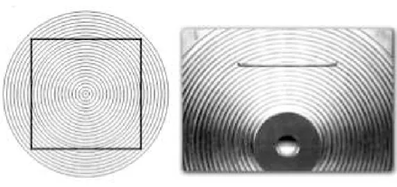 Figura 3.8.3: Cerchi concentrici (ottico e tattile)