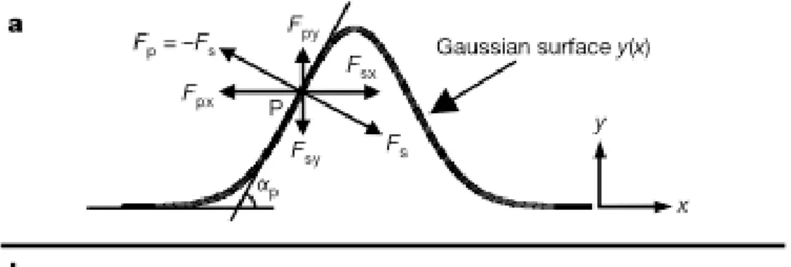 Figura 5.1.2: Profilo a gaussiana e forze di contatto