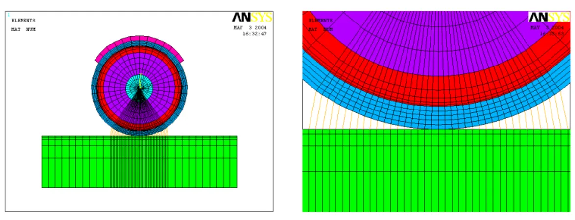 Figura 3.1: Modello agli EF e particolare della zona di contatto