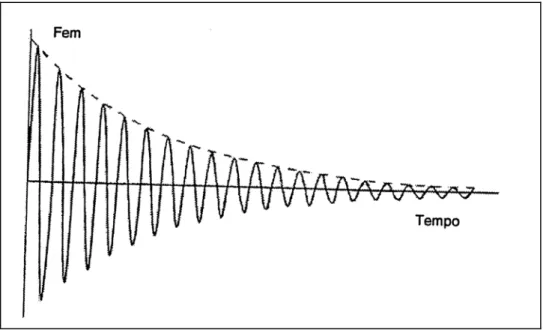 Figura 1.4: Forza elettromotrice indotta (FEM) in una bobina, avente l’asse sul piano x y, dal moto di  precessione smorzato della magnetizzazione trasversale (componente sul piano x y)