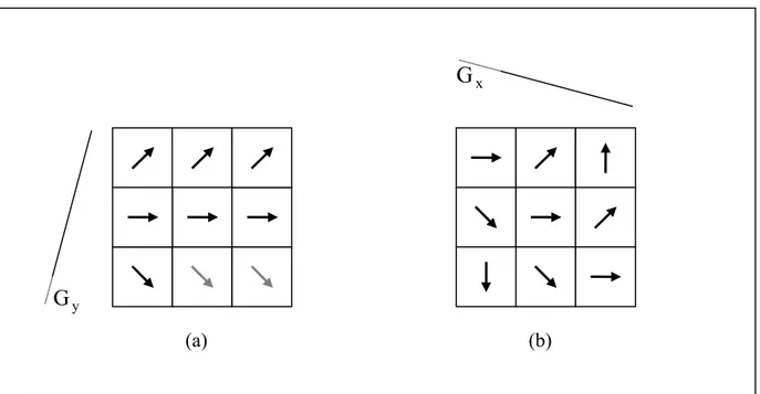 Figura 1.6: Configurazione degli spin precedenti in seguito alla codifica di fase (a) ed alla codifica in  frequenza (b)