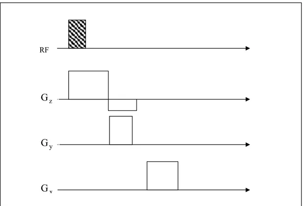 Figura 1.7: Passi successivi per la codifica del segnale FID. 