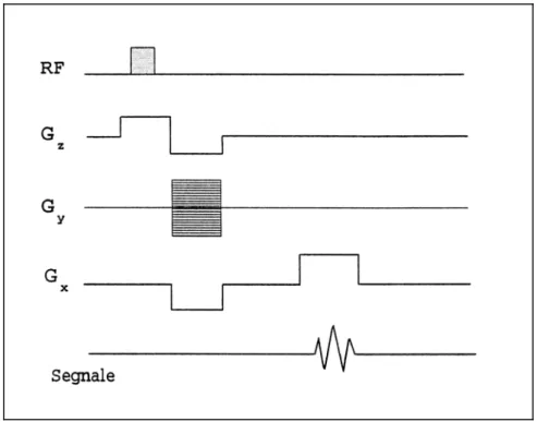 Figura 1.10: Sequenza Gradient-Echo: l’eco di segnale in questo caso è generato da un’inversione del  gradiente di codifica in frequenza   G x 