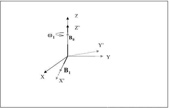 Figura 1.1: Sistema fisso (x y z) e sistema ruotante (x ’   y ’  z ’  ) solidale con il campo magnetico  di un’onda  elettromagnetica di velocità angolare   polarizzata circolarmente nel piano x y