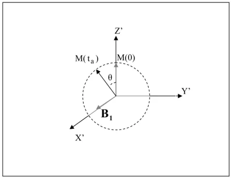 Figura 1.2:  Applicazione di un campo magnetico  in condizioni di risonanza: nel sistema ruotante la  magnetizzazione M  precede intorno a   