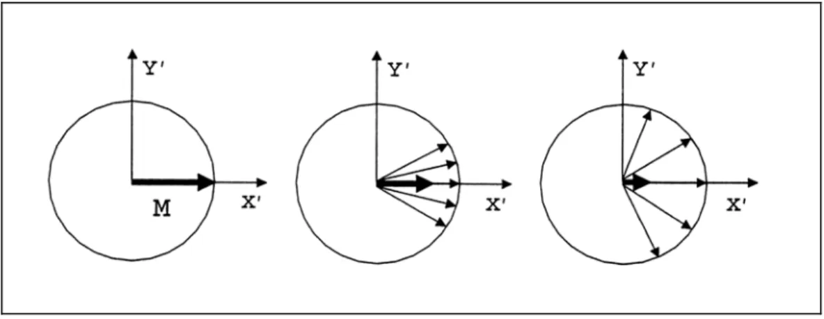 Figura 1.3: Defasamento degli spin e rilassamento trasversale della magnetizzazione M  nel sistema  ruotante