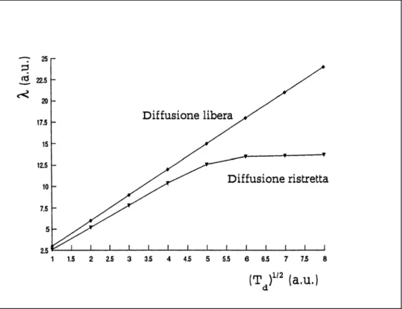 Figura 2.4:  Diffusione libera e diffusione ristretta in un mezzo biologico. Nel primo caso λ è proporzionale a  d