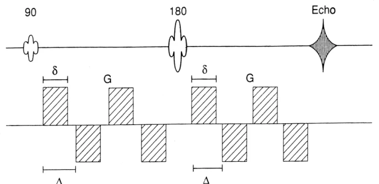 Figura 2.5 : Sequenza di Stejskal – Tanner con un treno di gradienti alternati. 