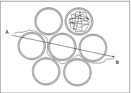 Figura 2.6 : Diffusione ristretta (compartimento in alto) e diffusione ostacolata. Le varie strutture all’interno 