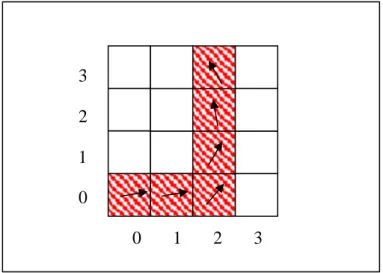 Figura 4.1: Algoritmo di  fiber  tracking  a  propagazione lineare operante su entità discrete: ogni passo  corrisponde ad un pixel, individuato dal vector  field  del pixel selezionato nel passo precedente