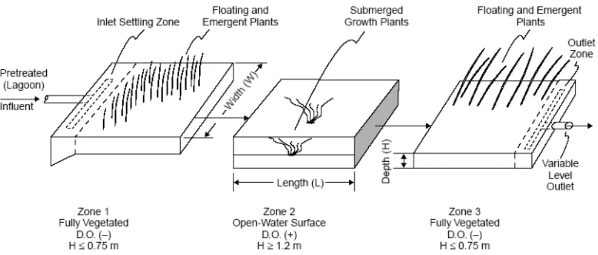 Figura 4.23. Elementi di un impianto di fitodepurazione a flusso  superficiale (Da U.S
