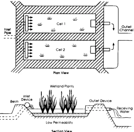 Figura 4.18. Configurazione tipica di un sistema di trattamento di fitodepurazione a  flusso subsuperficiale  (Da Kadlec e Knight, 1996)