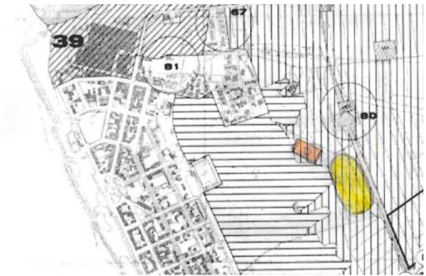 Figura 4.20. Indicazione della zona dove collocare l’impianto di fitodepurazione  (area gialla)