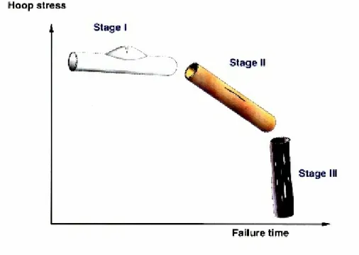 Figura 1.3 - Curva sforzo circonferenziale – tempo do rottura caratteristica dei tubi in materiale  termoplastico 