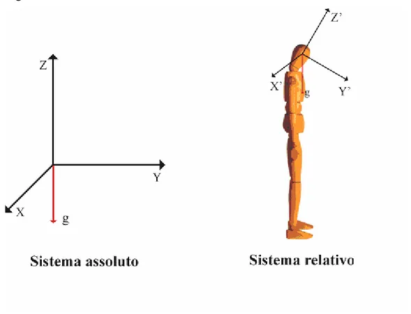 Fig. 3.2.1:  vettore di gravità rispetto a sistema assoluta e relativa 