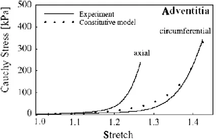 Figura 2.4   Risposta meccanica assiale e circonferenziale tipica dell’adventitia [2]